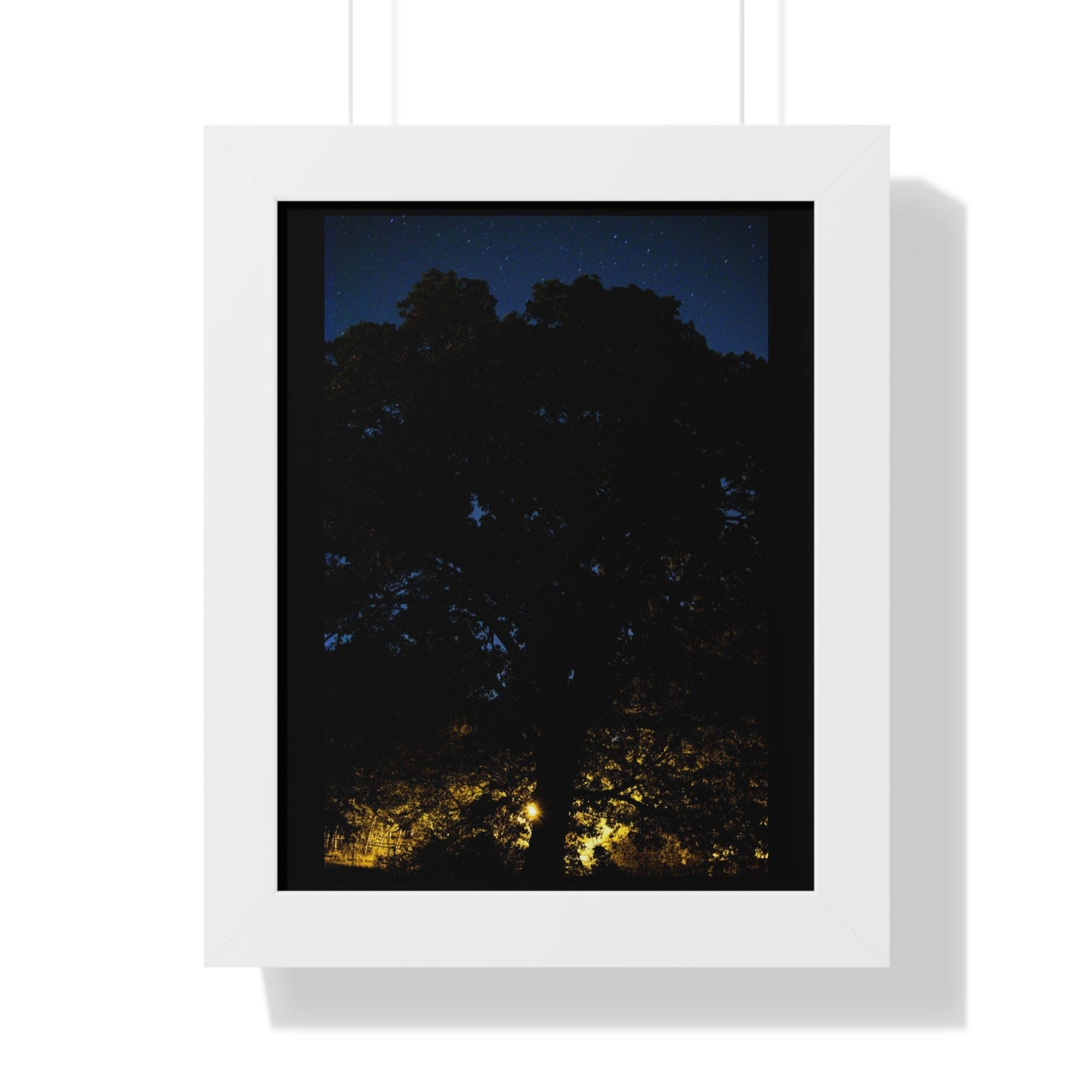 Printify Poster 11" x 14" / White Photography By Luke