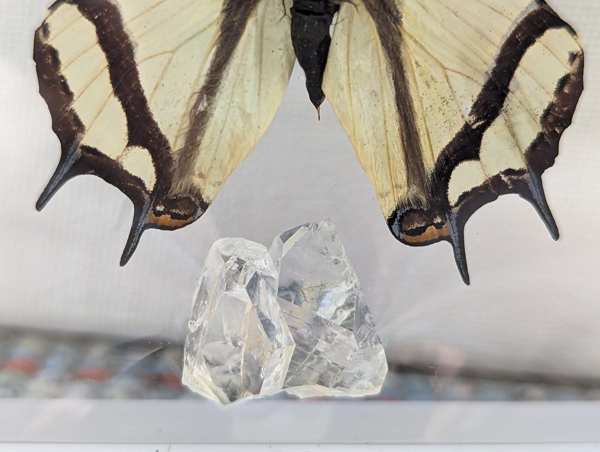 EsotericMineralsnCrystals Framed butterfly and Quartz crystal specimen