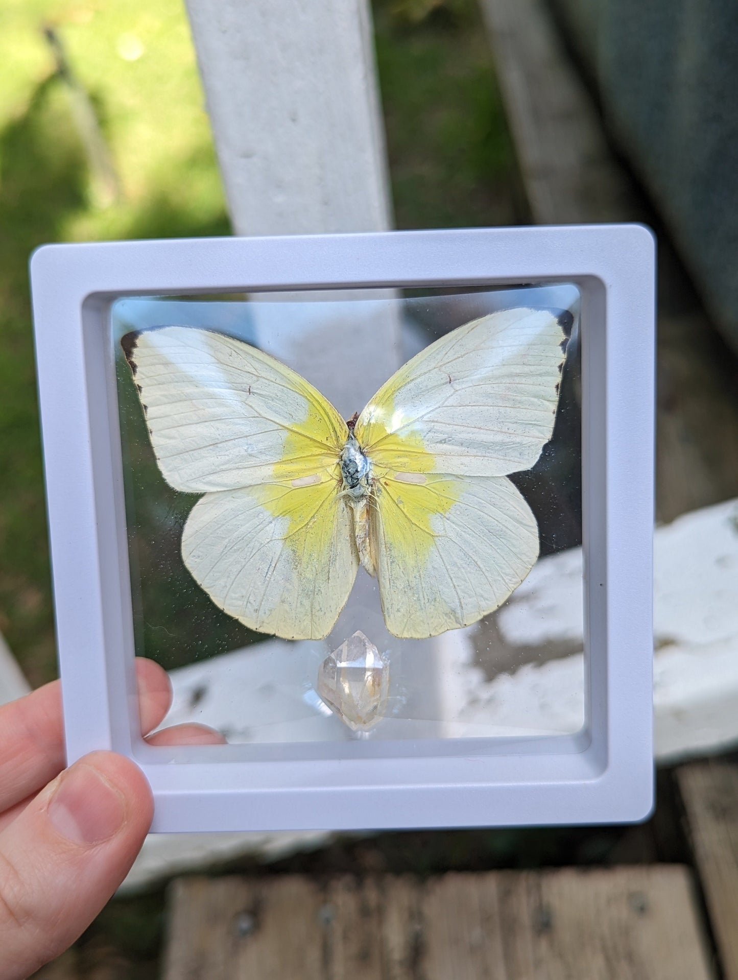 EsotericMineralsnCrystals Framed butterfly and Quartz crystal specimen