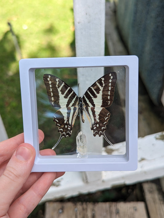 EsotericMineralsnCrystals Framed butterfly and Quartz crystal specimen