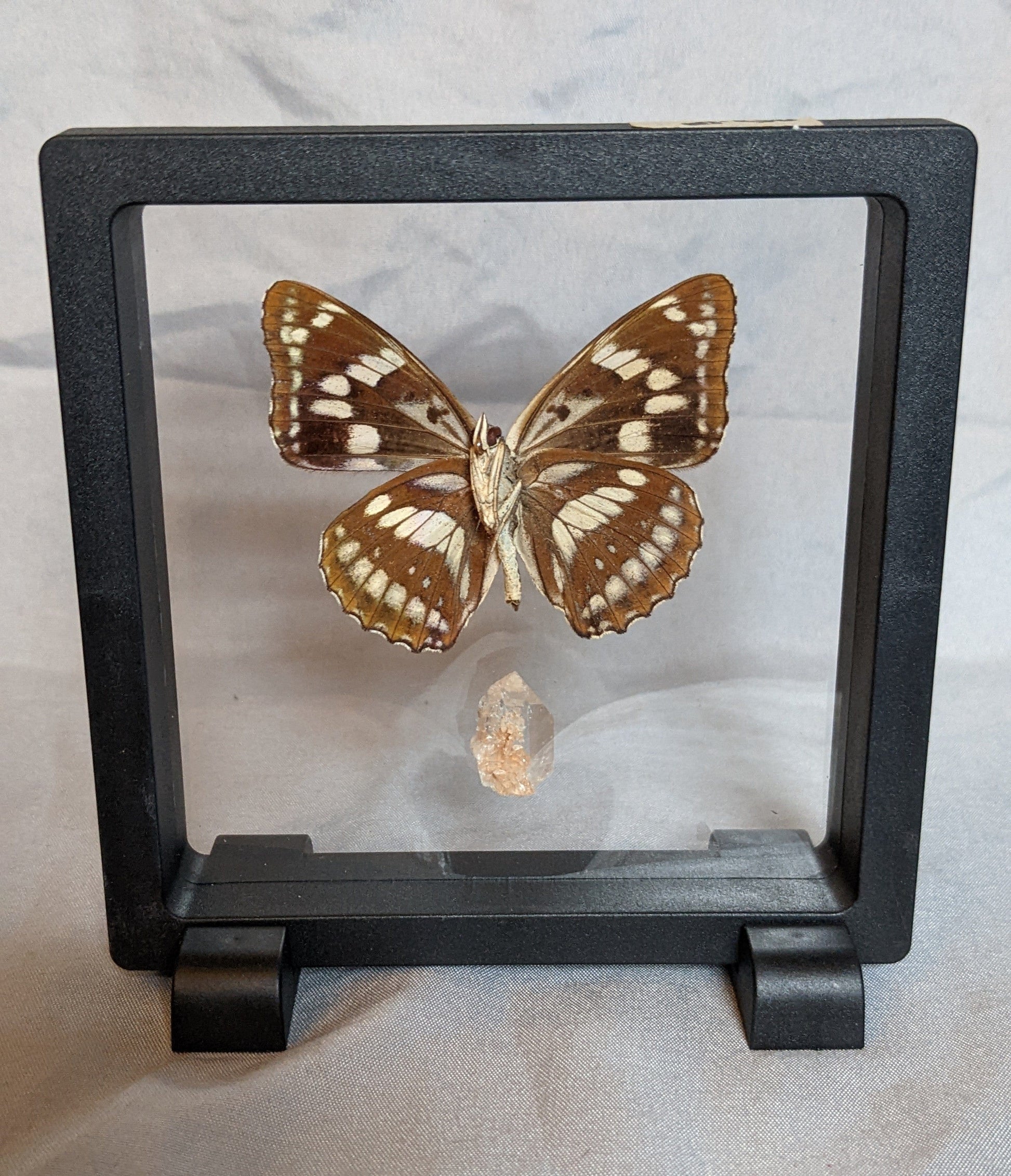 EsotericMineralsnCrystals Butterfly specimen & Arkansas quartz crystal in floating display