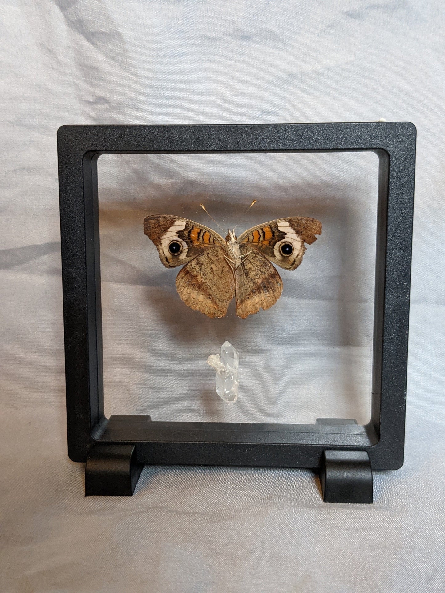 EsotericMineralsnCrystals Butterfly specimen & Arkansas quartz crystal in floating display