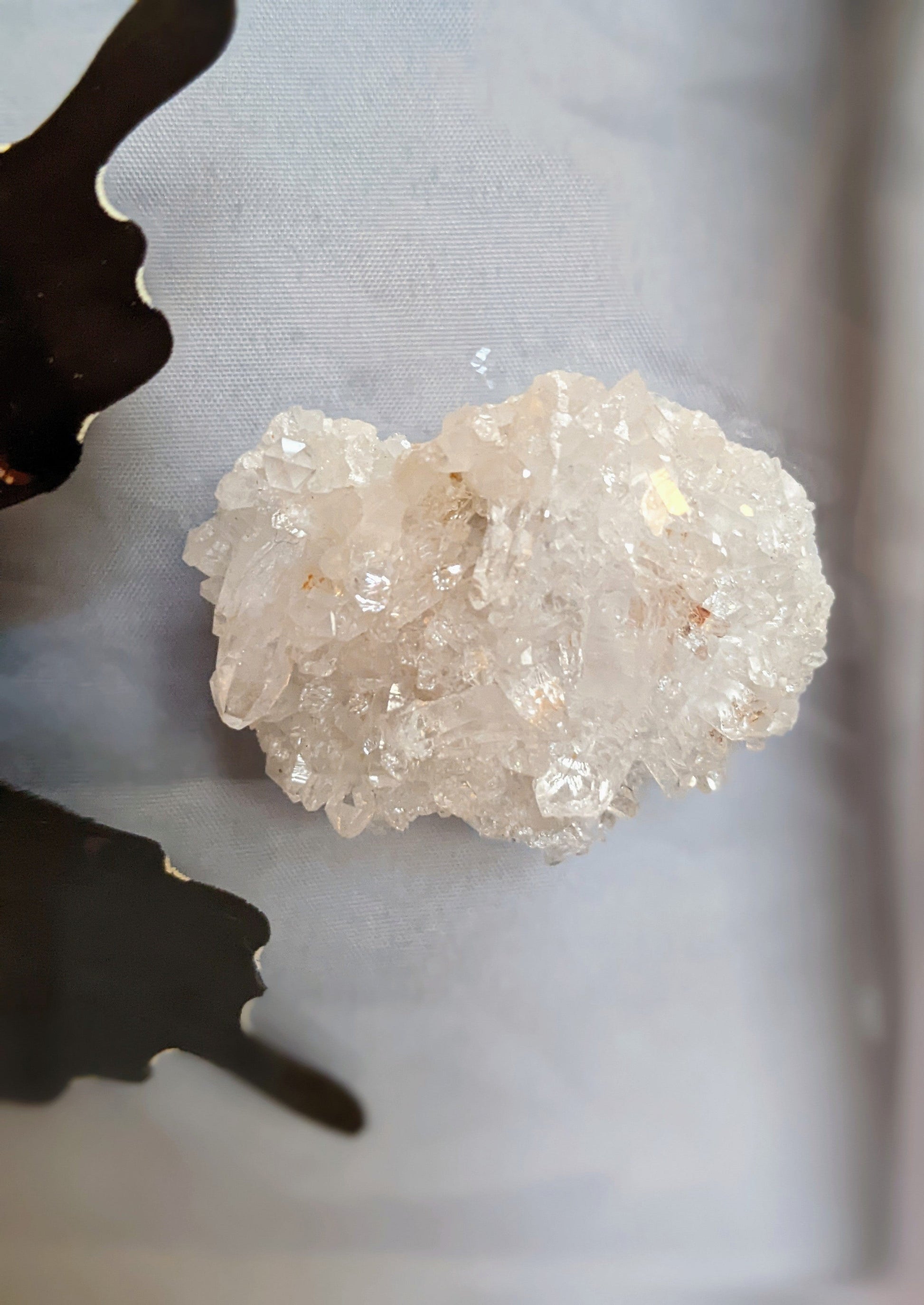 EsotericMineralsnCrystals Butterfly specimen & Arkansas quartz crystal cluster in floating display