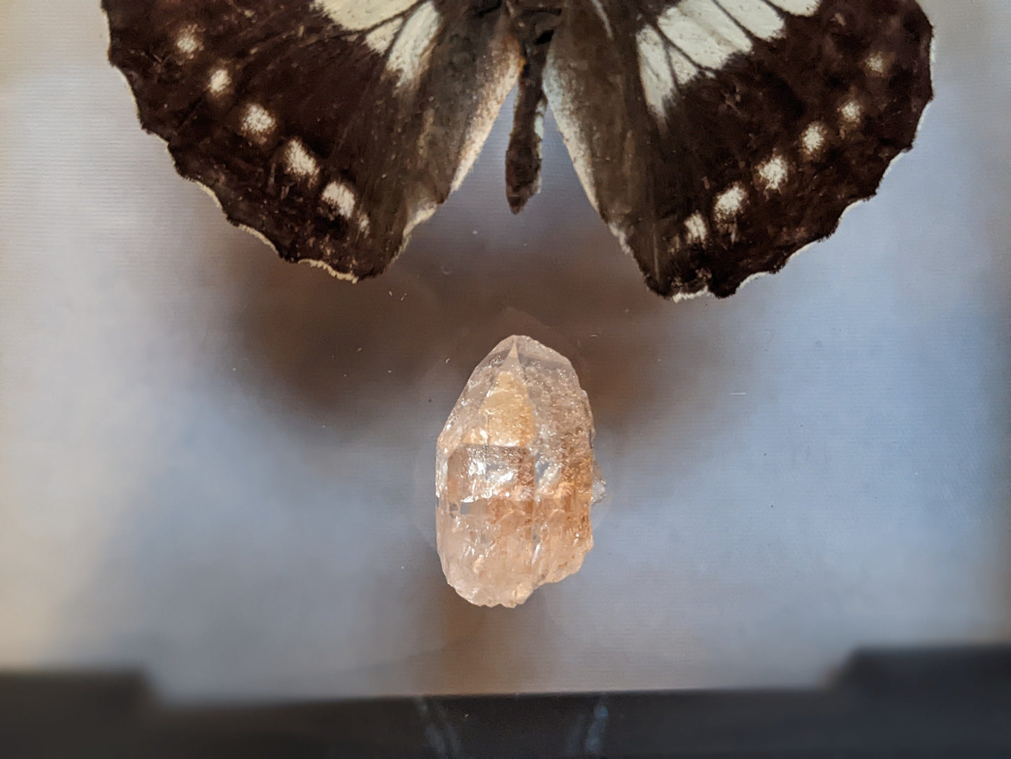 EsotericMineralsnCrystals Butterfly specimen & Arkansas quartz crystal in floating display