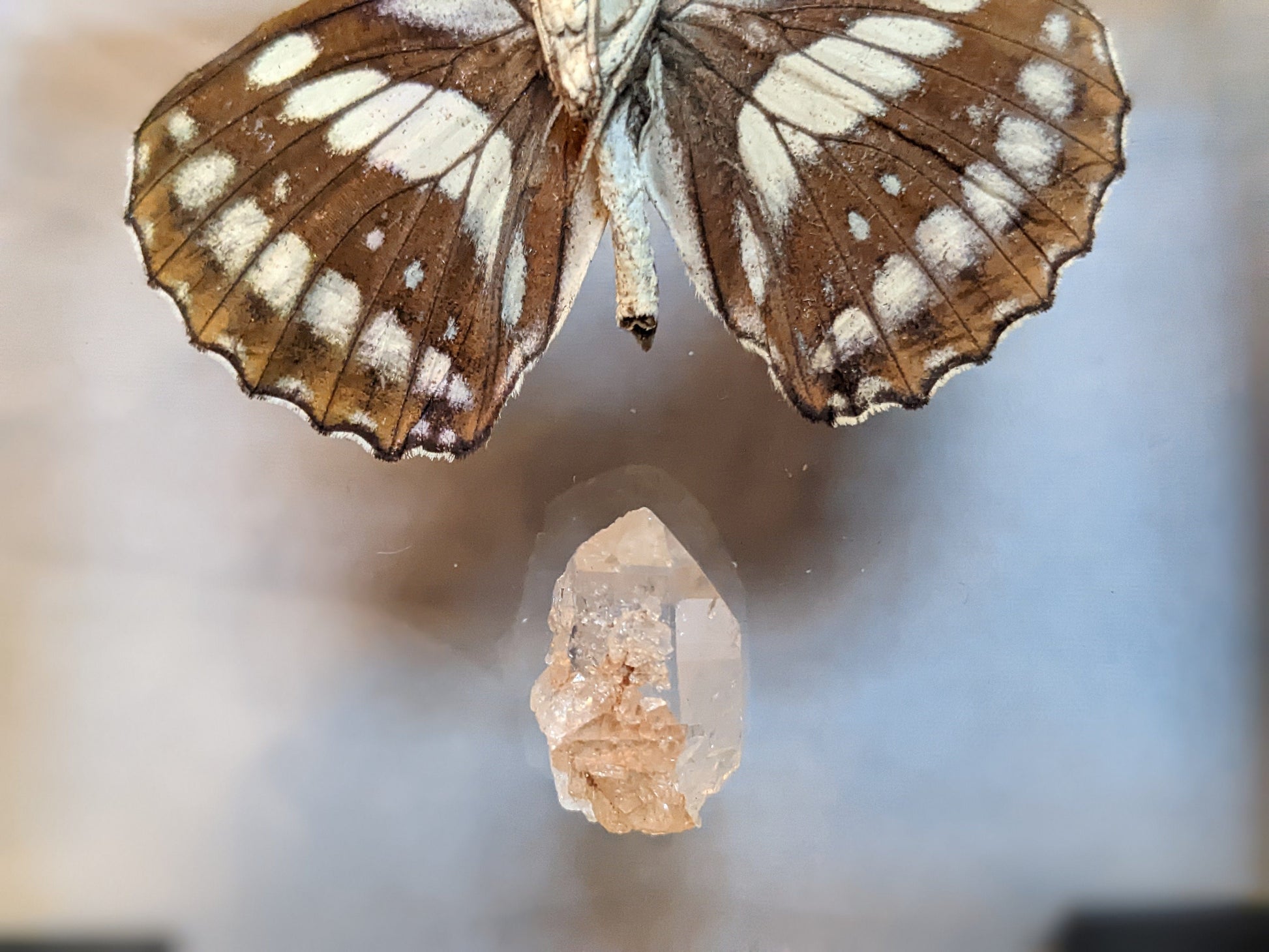 EsotericMineralsnCrystals Butterfly specimen & Arkansas quartz crystal in floating display